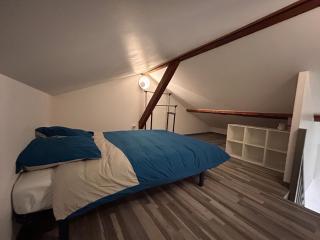 Magnifique appartement avec jardin et terrasse - Givors - 4