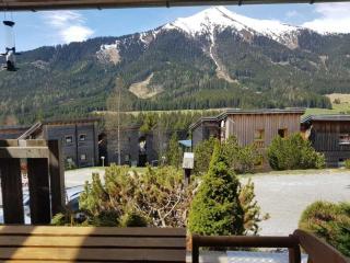 Milena - Hut No 12 Comfortable Vacation Home - Hohentauern - 7
