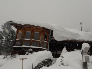 Milena - Hut No 12 Comfortable Vacation Home - Hohentauern - 0