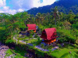 Villa Joglo tepi sungai - Sidemen - 0