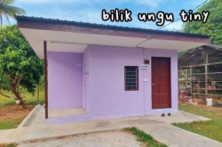 Dangau Tokwan - Pokok Sena - 6