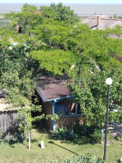 RUSTIC - Sarichioi - 1