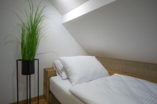 Hiša TRELC- sobe - 1