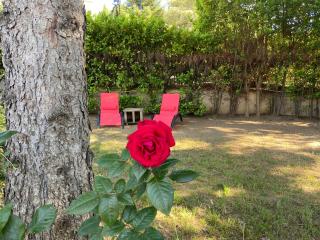 La roseraie Bonnieux - Bonnieux - 7