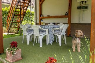 Bodzavirág Apartman - Balatonvilágos - 6