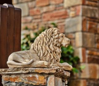 Lions Nine - Mouresi - 9