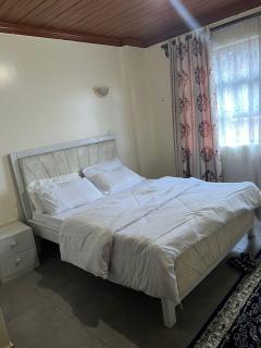 Machki properties - Nairobi - 4