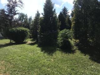 Domek natura Pszczeliniec roztocze Wczasowa 43 - Krasnobród - 3