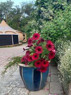 Romantic Luxus Glamping 1 - Idestrup - 1