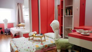 Cameron Brinchang 5 Min to Centrum 12pax Duplex Shophouse by City Home Empire - Brinchang - 0