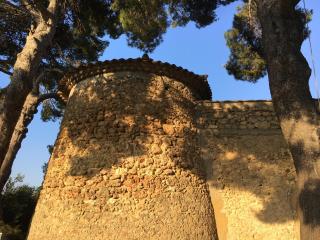 Le Moulin - Murviel - 5
