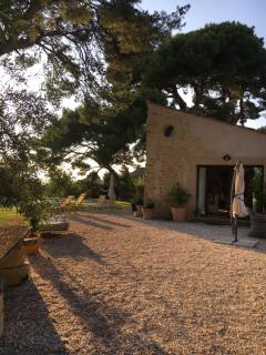 Le Moulin - Murviel - 1
