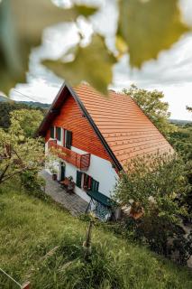 Cozy family place 'Hiša Grozdek' - Gruškovec 40A - Gruškovec - 6