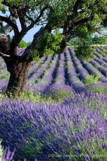 chambre d'hôtes chaleureuse en Drôme Provençale - 2
