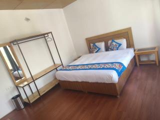 Seven Seas Guest House leh - Leh - 7