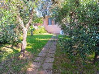 Podere Fichidimare - Campiglia Marittima - 9