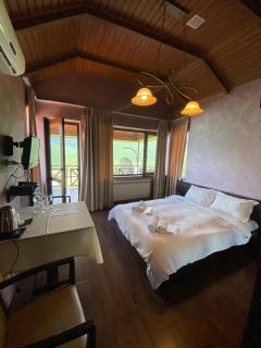 Hotel Ananuri - Ananuri - 9