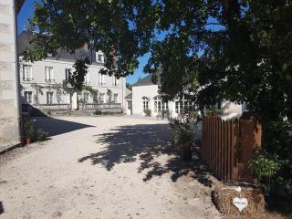 BIG House near Beauval and Castle - Privatisation Domaine du Moulin Neuf - 1