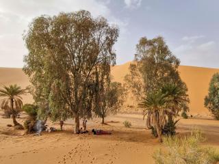 Akour Dessert Camp - 8