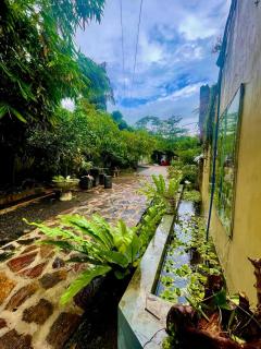 Owen Resort - Unawatuna - 8