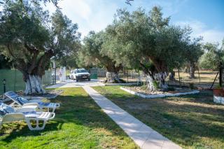 Dimitra's Apartment - Nea Makri - 9
