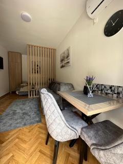 Talija apartman 4 - Vrnjačka Banja - 9
