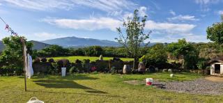 Tree House Guesthouse - Jeju-stad - 7
