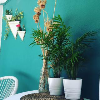 Babushka apartments Studio-loft near the sea - Olympiada - 9