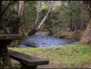 Sawmill Chalet - Located base of Mt Buller - Merrijig - 4