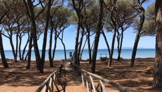 Beach House - Follonica - 4