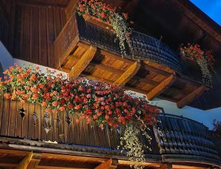 Ferienwohnung Bergmann - 1