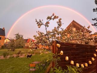Ferienwohnungen Auszeit am Geiseltalsee - Stöbnitz - 8