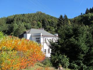 Starý mlýn - Wellness Hotel Penzion Apartmány v Českém ráji - Železný Brod - 5