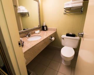 Best Western Premier Airport/Expo Center Hotel - Louisville - 9