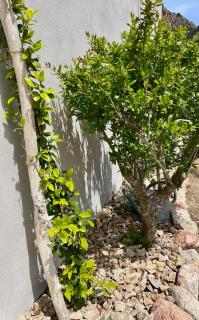 Casa Suvara - Chambres d'hôtes de charme I Piscines ou SPA privatifs - Conca - 5