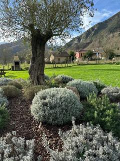 Casa Rural Ñasares - San Juan de Parres - 7