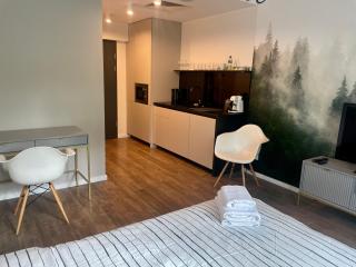 Studio 208 w centrum z klimatyzacją - Poznan - 8