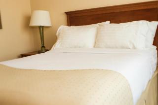 Best Western Premier Airport/Expo Center Hotel - Louisville - 1