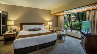 Wyndham Garden Guadalajara Expo Plaza del Sol - Guadalajara - 8