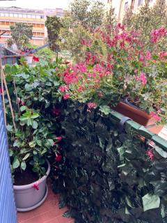 Savia Home - Catania - 8