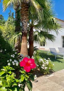 Villa EDEN Grimaud - Golfe de Saint Tropez - Grimaud - 5