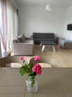 Suzi's apartment - Dhërmi - 0