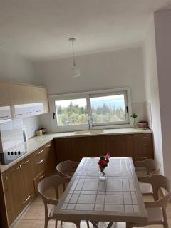 Suzi's apartment - 1