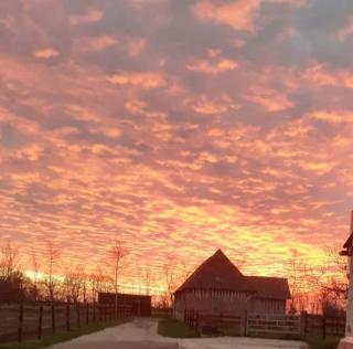B&B Haras de la Cour Fleury - Saint-Michel-de-Livet - 3