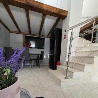 Villa Adria - Novalja (Novaglia) - 8