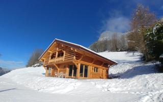 Demi-Chalet Savoyard - Le Petit-Bornand-lès-Glières - 1