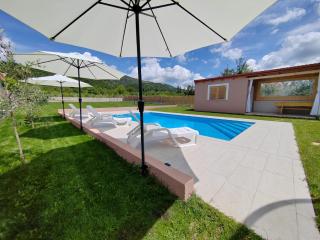 Villa Hirundinidae - 9