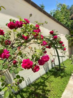 Hotel Ginevra - 6