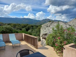 mini villa studio 1 pièce 21 m2 pour 2 personnes piscine partagée climatisation - Porto Vecchio - 1