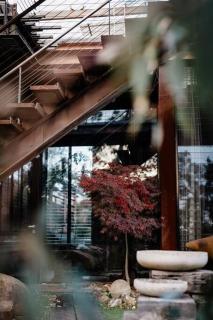 Grand Designs Eco Bush Retreat - Koornalla - 3